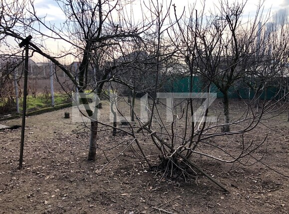 Casa de vânzare 7 camere Isalnita - 104691CV | BLITZ Craiova | Poza7