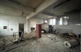 Exclusivitate! Spatiu 580 mp utili, 33 incaperi, 2359 mp teren, Bld. Romanesti