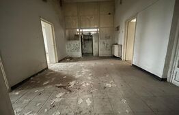 Exclusivitate! Spatiu 580 mp utili, 33 incaperi, 2359 mp teren, Bld. Romanesti