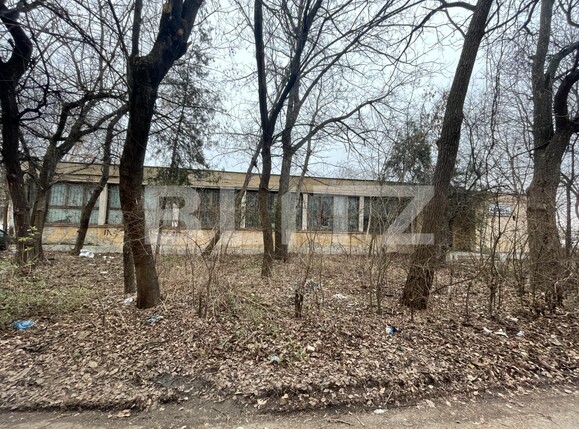 Spațiu comercial de vânzare Romanesti - 104806SVC | BLITZ Craiova | Poza2