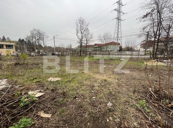 Spațiu industrial de vânzare Romanesti - 104849SVI | BLITZ Craiova | Poza2