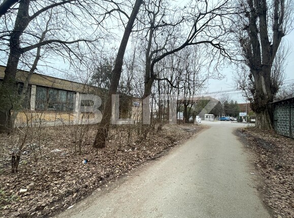 Spațiu industrial de vânzare Romanesti - 104849SVI | BLITZ Craiova | Poza13