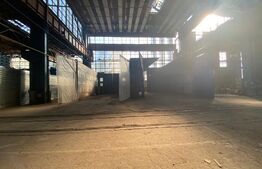 Spatiu industrial, 19900 mp, pod rulant 50 tone, putere maxima 2 megawatt, zona Craiova Est