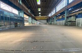 Spatiu industrial, 19900 mp, pod rulant 50 tone, putere maxima 2 megawatt, zona Craiova Est
