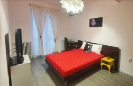 Garsoniera spatioasa, zona ultracentrala, langa Muzeul de arta