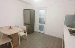 Garsoniera spatioasa, zona ultracentrala, langa Muzeul de arta