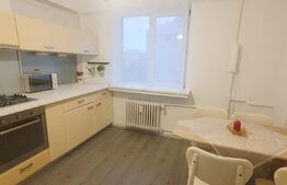 Garsoniera spatioasa, zona ultracentrala, langa Muzeul de arta