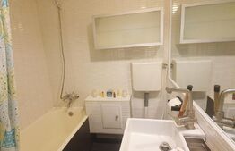 Garsoniera spatioasa, zona ultracentrala, langa Muzeul de arta