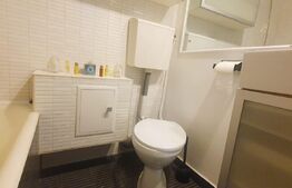 Garsoniera spatioasa, zona ultracentrala, langa Muzeul de arta