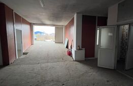 Hala industriala, 600 mp, teren 500 mp, zona Carcea