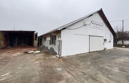 Hala industriala, 600 mp, teren 500 mp, zona Carcea