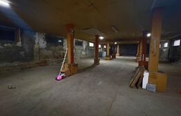 Hala industriala, 600 mp, teren 500 mp, zona Carcea