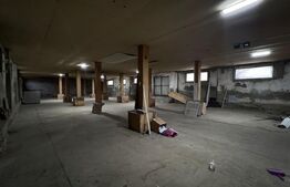 Hala industriala, 600 mp, teren 500 mp, zona Carcea