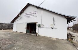 Hala industriala, 600 mp, teren 500 mp, zona Carcea