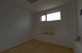 Hala industriala, 600 mp, teren 500 mp, zona Carcea