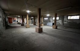 Hala industriala, 600 mp, teren 500 mp, zona Carcea