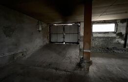 Hala industriala, 600 mp, teren 500 mp, zona Carcea