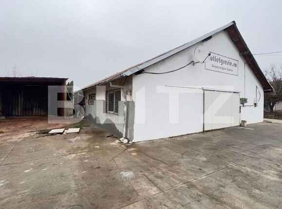 Spațiu industrial de închiriat Carcea  - 105041SII | BLITZ Craiova | Poza16