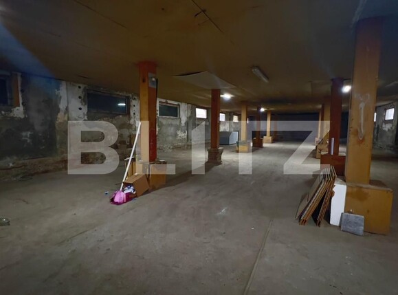 Spațiu industrial de închiriat Carcea  - 105041SII | BLITZ Craiova | Poza1