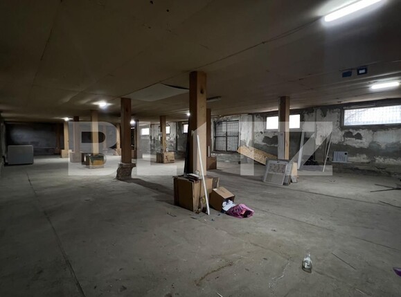 Spațiu industrial de închiriat Carcea  - 105041SII | BLITZ Craiova | Poza2