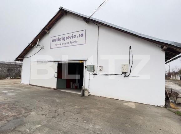Spațiu industrial de închiriat Carcea  - 105041SII | BLITZ Craiova | Poza15