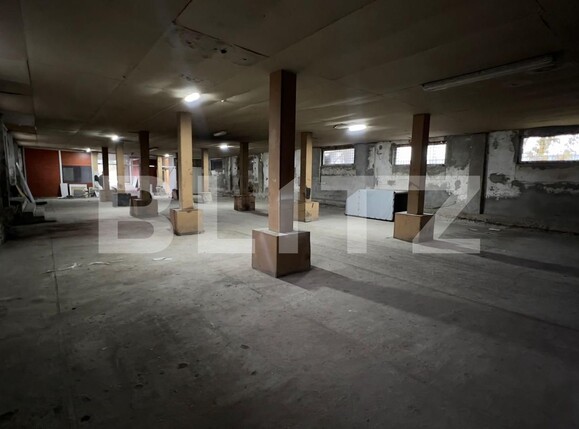 Spațiu industrial de închiriat Carcea  - 105041SII | BLITZ Craiova | Poza3