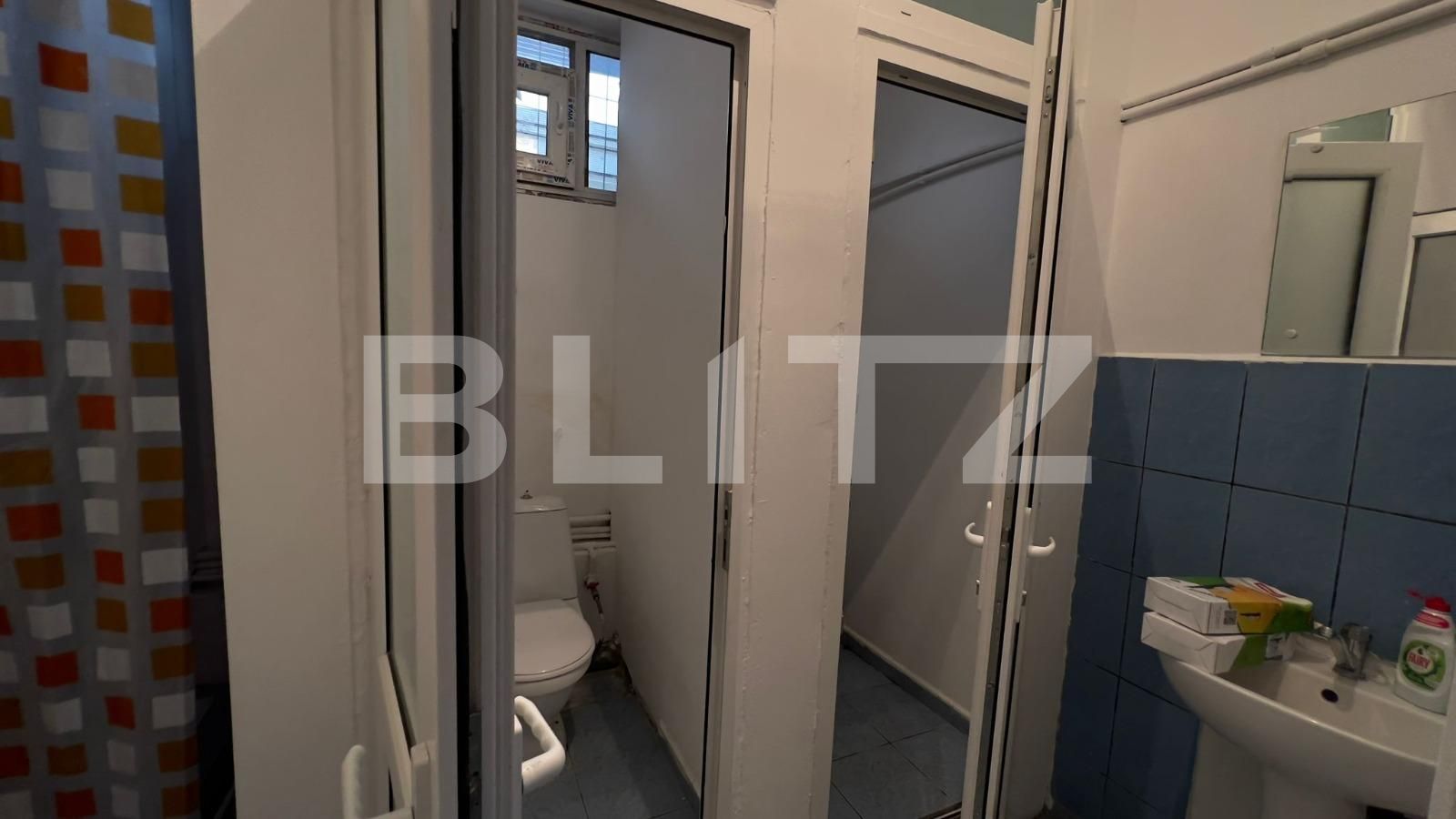 Spațiu industrial de închiriat Carcea  - 105041SII | BLITZ Craiova | Poza13