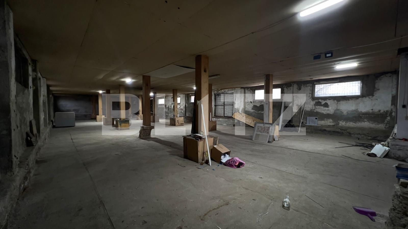 Spațiu industrial de închiriat Carcea  - 105041SII | BLITZ Craiova | Poza2