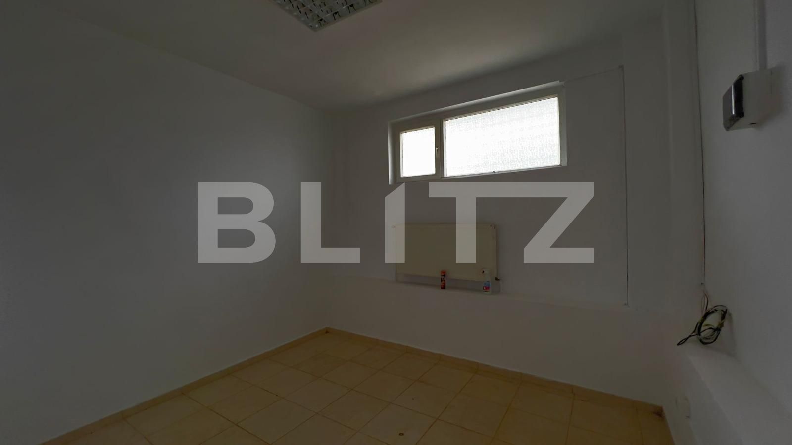 Spațiu industrial de închiriat Carcea  - 105041SII | BLITZ Craiova | Poza12