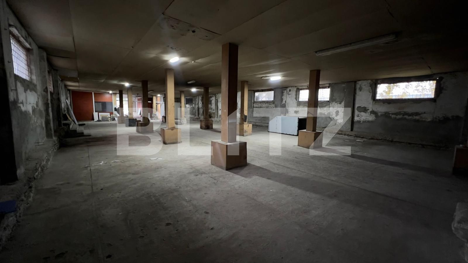 Spațiu industrial de închiriat Carcea  - 105041SII | BLITZ Craiova | Poza4