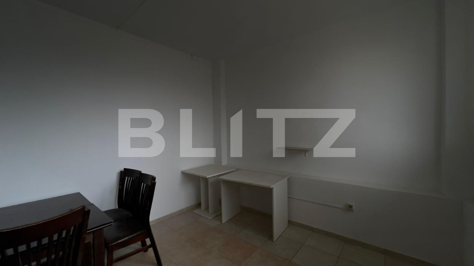 Spațiu industrial de închiriat Carcea  - 105041SII | BLITZ Craiova | Poza9