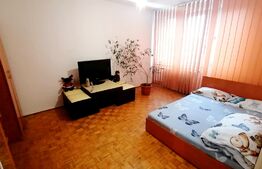 Apartament de 2 camere, decomandat, pet friendly, zona Calea Bucuresti