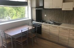 Apartament 2 camere, 50 mp, Calea Bucuresti, zona Sydney