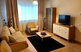 Apartament 2 camere, 50 mp, Calea Bucuresti, zona Sydney