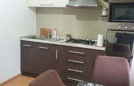 Garsoniera spatioasa, zona George Enescu, Centrala Termica