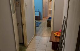 Apartament 2 camere, Craiovita Noua( zona Scoala 33)