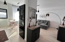 Apartament 2 camere, modern/lux , zona Calea Severinului