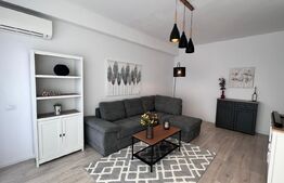Apartament 2 camere, modern/lux , zona Calea Severinului