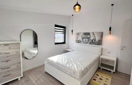 Apartament 2 camere, modern/lux , zona Calea Severinului