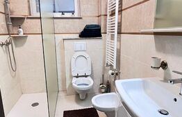 Apartament 2 camere, modern/lux , zona Brazda 