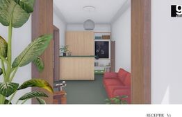 Proprietate stil boieresc, proiect si autorizatie de renovare, Central