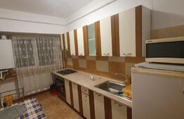 Apartament 2 camere, Centrala, AC, Zona Mercur