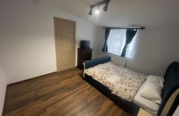 Apartament 2 camere+dressing, petfrendly, zona Centrala