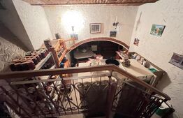 Casa boiereasca, central, 204 mp, 626 mp teren