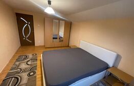Apartament 3 camere 110mp, centrala proprie, Calea Severinului