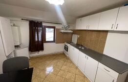 Apartament 3 camere 110mp, centrala proprie, Calea Severinului