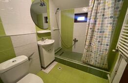 Apartament 3 camere 110mp, centrala proprie, Calea Severinului