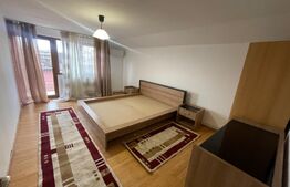 Apartament 3 camere 110mp, centrala proprie, Calea Severinului