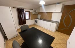 Apartament 3 camere 110mp, centrala proprie, Calea Severinului