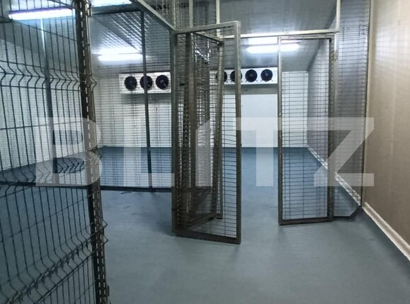 Spațiu industrial de închiriat Rovine - 106105SII | BLITZ Craiova | Poza4